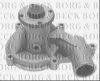 BUGAT PAO258 Water Pump